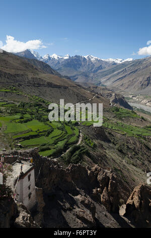 Vue sur la vallée de Spiti Dhankar dans la région himalayenne de l'Himachal Pradesh, Inde Banque D'Images