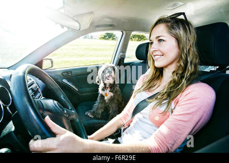 Caucasian woman driving with dog Banque D'Images