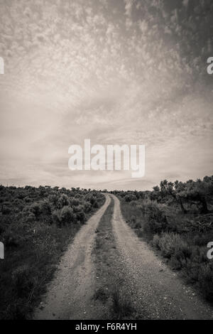 Empty road in desert landscape Banque D'Images