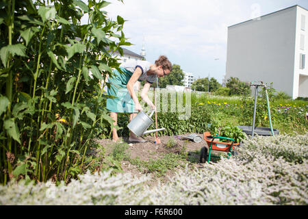 Woman working in vegetable garden Banque D'Images