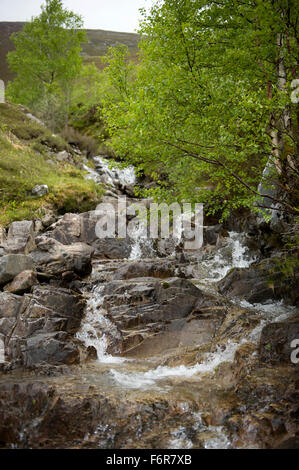 Sur les rochers, tumbling brûler affluent sur son parcours en Glen Roy et dans la rivière Roy Banque D'Images