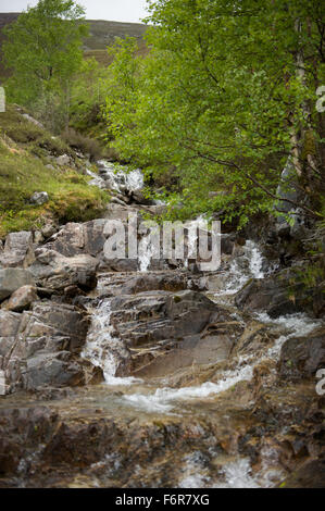 Sur les rochers, tumbling brûler affluent sur son parcours en Glen Roy et dans la rivière Roy Banque D'Images