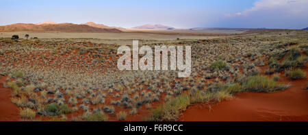 Vue sur le Namib Rand Nature Reserve, Désert du Namib, Namibie Banque D'Images