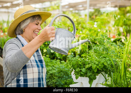 Belle femme mature dans une serre arrosage des fleurs Banque D'Images