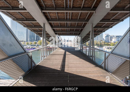 France, Paris, passerelle Simone-de-Beauvoir Banque D'Images