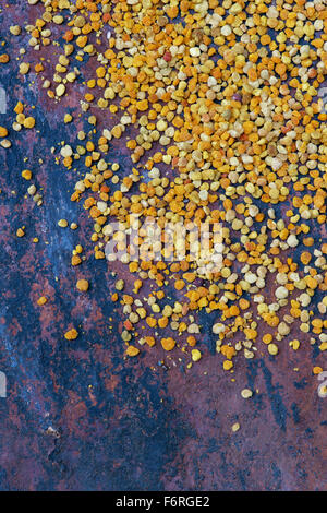 Pollen d’abeilles Banque D'Images