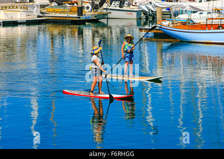 Deux femmes équitation Paddleboards à Santa Barbara en Californie Harbour Banque D'Images