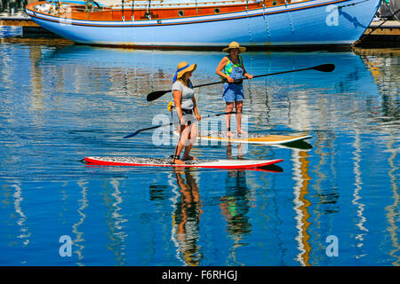 Deux femmes équitation Paddleboards à Santa Barbara en Californie Harbour Banque D'Images