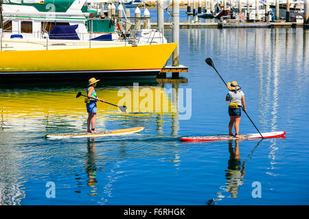 Deux femmes équitation Paddleboards à Santa Barbara en Californie Harbour Banque D'Images