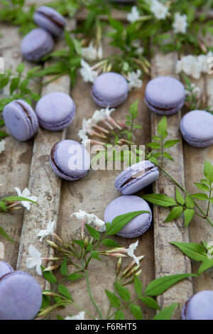 Macarons au chocolat et à la Lavande avec fleurs de jasmin