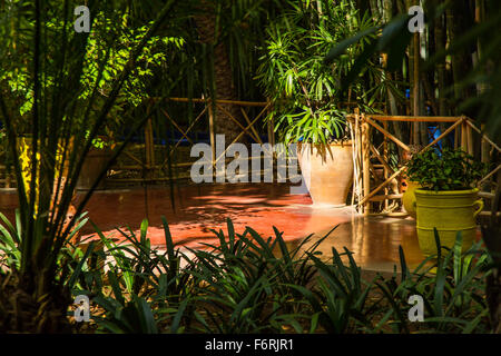 Jardin botanique Jardin Majorelle à Marrakech (Maroc) Banque D'Images