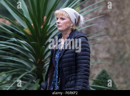 Anna Soubry MP, Ministre de la petite entreprise arrive au 10 Downing Street pour assister à la réunion hebdomadaire du cabinet Banque D'Images