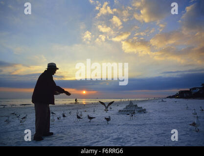 Un vieil homme nourrir les mouettes au coucher du soleil sur la plage de Fort Myers. La Floride. USA Banque D'Images