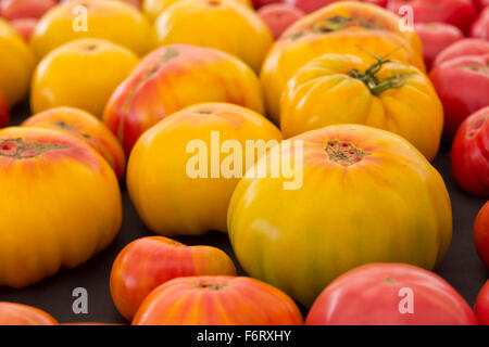 Jaune frais heirloom tomatoes sur l'affichage à l'marché agricole local Banque D'Images