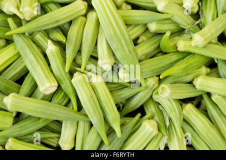 Pile de l'okra mûres pour la vente au marché de producteurs locaux Banque D'Images