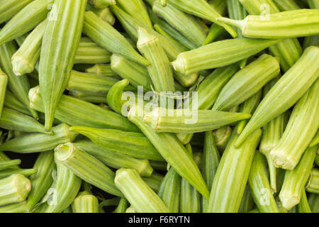 Pile de l'okra mûres pour la vente au marché de producteurs locaux Banque D'Images