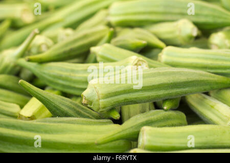 Pile de l'okra mûres pour la vente au marché de producteurs locaux Banque D'Images