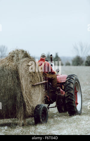 Woman in field Banque D'Images