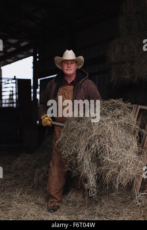 Caucasian farmer shoveling hay in barn Banque D'Images