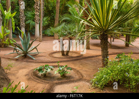 Jardin botanique Jardin Majorelle à Marrakech (Maroc) Banque D'Images