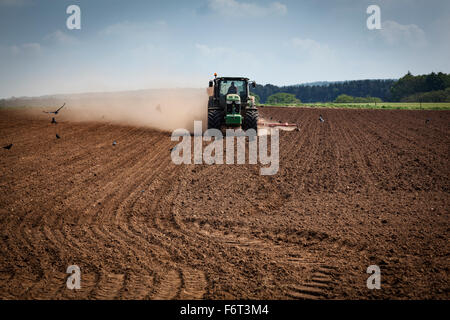 La poussière qu'il crée du tracteur remorque une grand semoir derrière elle tandis que les semis de graines. Les corbeaux freux sont occupés à se nourrir dans le domaine. Banque D'Images