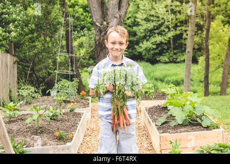 Caucasian boy holding carrots in garden Banque D'Images