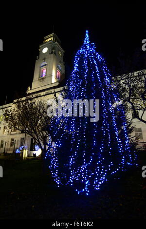 Les arbres de Noël à l'extérieur de Barnsley Mairie. Banque D'Images