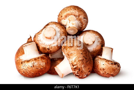 Pile de fresh brown champignon isolé sur fond blanc Banque D'Images