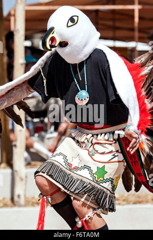 Eagle dancer, huit le nord de Pueblos Arts and Crafts Show, Ohkay Owingeh (San Juan Pueblo), Nouveau Mexique USA Banque D'Images