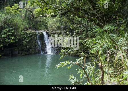 Haiku, Hawaii, USA. 29Th sep 2015. L'une des nombreuses cascades qui se trouve le long de la célèbre route sinueuse Hana sur la route de Hana en haiku sur l'île de Maui à Hawaii. © Nicolas Czarnecki/ZUMA/Alamy Fil Live News Banque D'Images