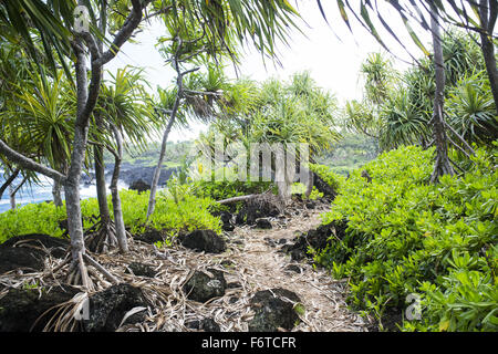 Hana, Hawaii, USA. 29Th sep 2015. La lave rives de plage de sable noir de Hana, New York. © Nicolas Czarnecki/ZUMA/Alamy Fil Live News Banque D'Images