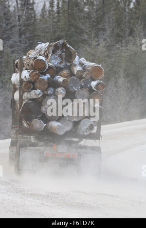 Grumier chargé sur le chemin d'hiver, près de Smithers, Colombie-Britannique Banque D'Images