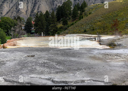 Piscine de couleur bronze, Yellowstone Banque D'Images