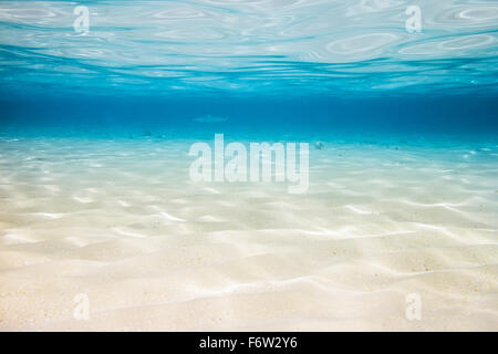 Fond sous-marin avec la mer de sable bas Banque D'Images