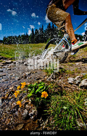 Vélo de montagne de descente hors-piste, Frauenalpe, Murau, Styrie, Autriche Banque D'Images