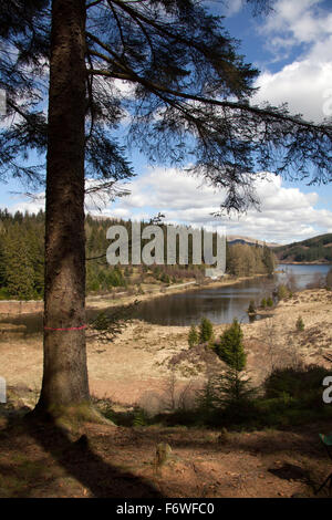 Trossachs, l'Écosse. Vue pittoresque sur le Loch Drunkie situé sur la route forestière de la Queen Elizabeth Forest Park. Banque D'Images