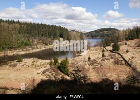 Trossachs, l'Écosse. Vue pittoresque sur le Loch Drunkie situé sur la route forestière de la Queen Elizabeth Forest Park. Banque D'Images