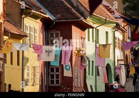 Maisons colorées dans le centre historique, Sighisoara, Transylvanie, Roumanie Banque D'Images