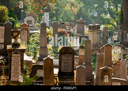 Cimetière Saxon dans le centre historique, Sighisoara, Transylvanie, Roumanie Banque D'Images