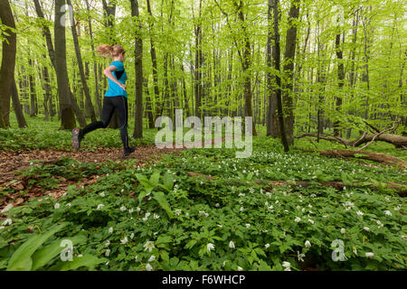 Young woman jogging dans une forêt de hêtres, Parc National, Hainich Thuringe, Allemagne Banque D'Images