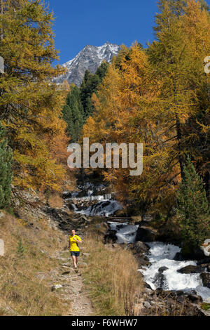 Jeune homme d'exécution sur un sentier dans la vallée de Zay, Parc National du Stelvio, le Tyrol du Sud, Italie Banque D'Images