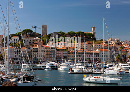 Le vieux Port de Cannes, le vieux port, Cannes, Cote d'Azur, Provence, France Banque D'Images