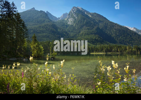 Hintersee, vue de Hochkalter, près de Ramsau, région de Berchtesgaden, le parc national de Berchtesgaden, Allemagne Banque D'Images