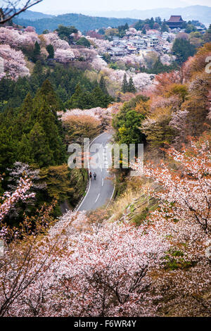 Sakura et la route en automne à la montagne Yoshino - Nara, Japon Banque D'Images