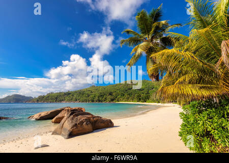 Un panorama pittoresque des plages magnifiques de l'île aux Seychelles Banque D'Images