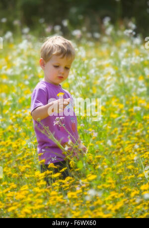 Portrait of a cute little boy dans un champ de fleurs. Banque D'Images