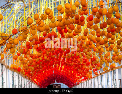 Les Œufs de l'Est ukrainien de la cathédrale Sainte-Sophie de Kiev Ukraine Sofia. Saint Sophia est plus vieille cathédrale et l'Église à Kiev. Banque D'Images