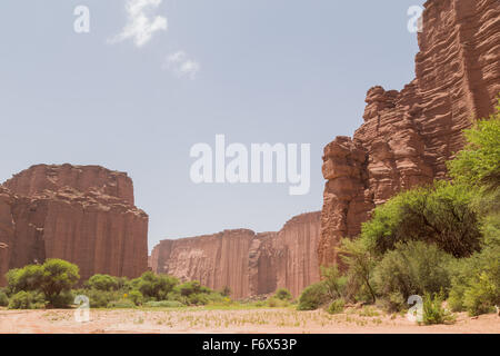 Photographie de formations rocheuses à Talampaya Parc National en Argentine. Banque D'Images