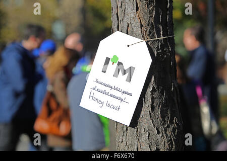 New York City, United States. 20 Nov, 2015. Locust Tree miel nouvellement plantés au Parc Joyce Kilmer. Maire de Blasio, ancien maire Mike Bloomberg et Bette Midler rejoint d'autres dirigeants de la ville au parc Joyce Kilmer dans le Bronx pour célébrer la plantation d'un million de nouveaux arbres dans NYC avant l'échéancier prévu. Credit : Andy Katz/Pacific Press/Alamy Live News Banque D'Images