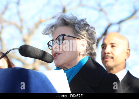 New York City, United States. 20 Nov, 2015. La chanteuse Bette Midler parle à Joyce Kilmer Park. Maire de Blasio, ancien maire Mike Bloomberg et Bette Midler rejoint d'autres dirigeants de la ville au parc Joyce Kilmer dans le Bronx pour célébrer la plantation d'un million de nouveaux arbres dans NYC avant l'échéancier prévu. Credit : Andy Katz/Pacific Press/Alamy Live News Banque D'Images